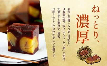 和菓子 栗蒸し羊羹 みつ栗の月明かり 半棹 ようかん