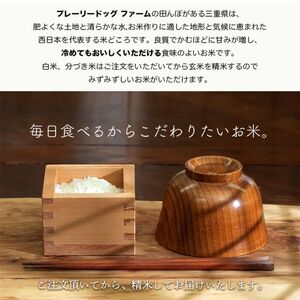 【選べる精米率】 令和7年産 三重県産 コシヒカリ 5kg [ 白米 玄米 5分つき米 7分つき米 ]　三重県津市 白米