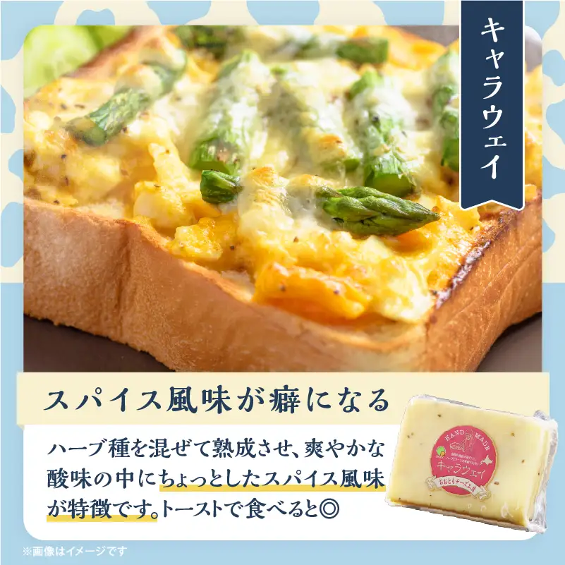 【おおともチーズ工房】セミハードチーズ2種セット(キャラウェイ・レクタン)_H0003-113