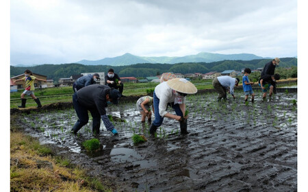 最上町の地酒　「山と水と、」生原酒と火入れ酒セット
