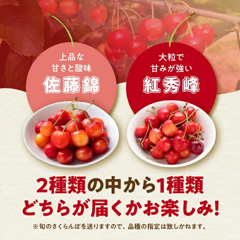 【先行予約：2026年初夏発送】さくらんぼ 毎年大好評！こだわりの東谷農園 余市産 さくらんぼ 1kg_Y037-0347