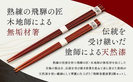 飛騨春慶 漆箸2膳セット | お箸 ペア セット 弁当 工芸品 飛騨高山 手作り ギフト 飛騨高山 元田漆器株式会社 NA009