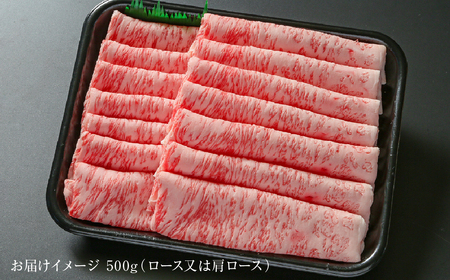 飛騨牛 霜降りスライス（すき焼き/しゃぶしゃぶ）500g（冷蔵）飛騨高山ミート [MZ033]