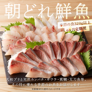 【6ヶ月定期便】大和海商 大和のこだわり漁師のお刺身4人前【冷凍】 N072-YE131-2