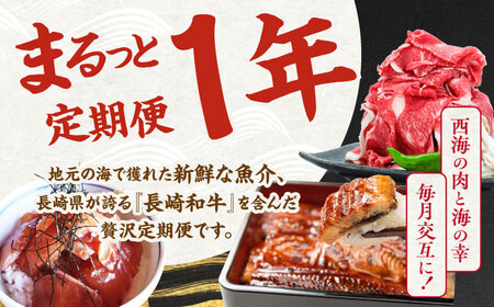 12回定期便 肉と海 西海の宝物定期便 西海市 | [CZZ022]