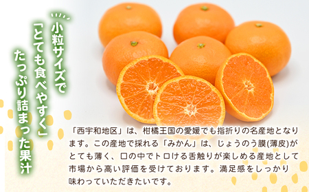 先行予約＜愛媛県西予市産 温州みかん 小粒サイズ 家庭用 約3.2kg＞ 愛媛県産 西宇和 小玉 小さめ 家庭用 果物 フルーツ 柑橘 うんしゅうみかん ウンシュウミカン オレンジ ミカン 蜜柑 訳あり 小林果園 愛媛県 西予市 【常温】『2026年11月上旬?12月中旬迄に順次出荷予定』OKE0001