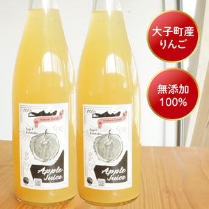 【三村観光りんご園】樹上完熟 奥久慈りんごジュース 720ml×2本セット（BX004）