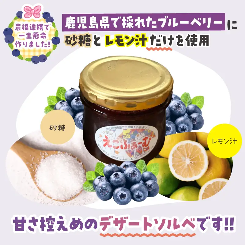 2685 ブルーベリーソルベ（6個入り） KN106-001 アイス 果物 菓子 加工食品