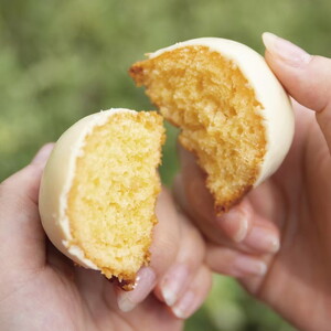 レモンケーキ詰め合わせ（12個入）