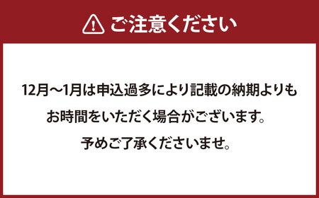 【7営業日以内発送】【限定10】本べっ甲 根付 白甲 瓢 ／ 鼈甲 べっこう べっ甲 ひょうたん お守り 縁起物 長崎県 長崎市