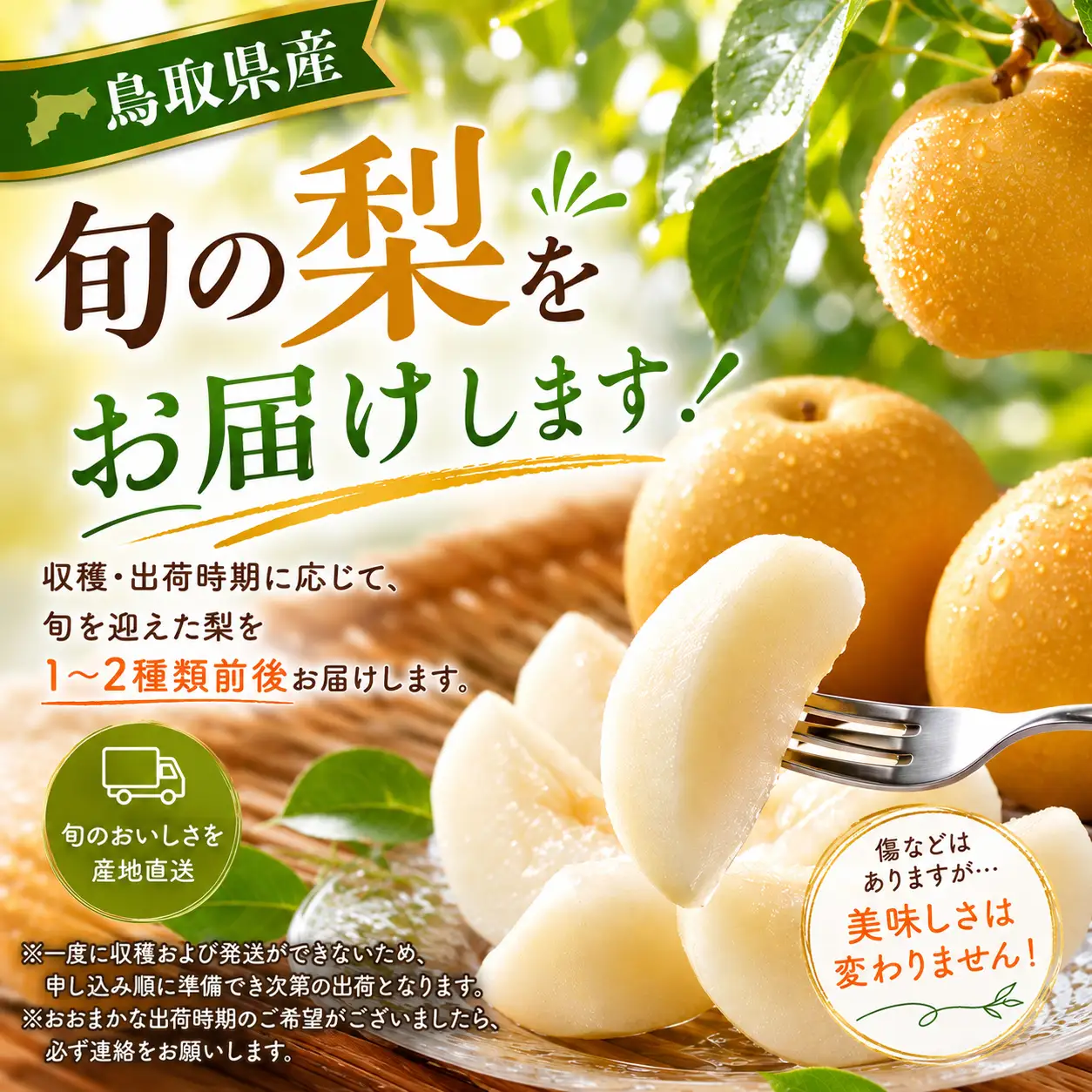 Y316 【訳あり】鳥取県産旬の梨 3kg