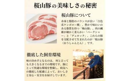 滝沢ハム 桜山豚ロース 味噌漬け 12点詰合せセット 山寺味噌漬 西京味噌漬 冷凍便 | 味付け肉 豚肉