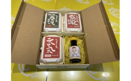 たまご家のこだわり卵かけごはんセット（卵3種＆卵かけごはん専用醤油）太良町産 卵 たまご家 卵かけごはん 卵とお醤油のセット 感謝 元気 笑顔 新鮮 濃厚 ご自宅用 ギフト 贈り物 卵かけご飯 たまごごはん 卵ごはん TKG N233