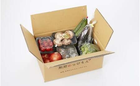 Q-49 【6回定期便】鮮度抜群！肥前の国のお野菜詰め合わせセット（8～10品目）　野菜セット 詰め合わせ 野菜詰め合わせ 野菜盛り合わせ 野菜ミックス 野菜ギフト 野菜 旬のお野菜 旬のくだもの 採れたて 新鮮野菜 常備菜 国産 佐賀県産 こだわり 産地直送 定期便 佐賀県 太良町