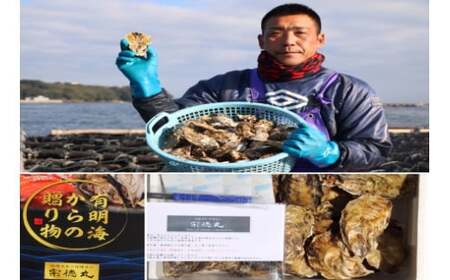 N-161 有明海からの贈り物 新鮮 旬 魚介類 有明海 海鮮 贈り物 ギフト お歳暮 おせち