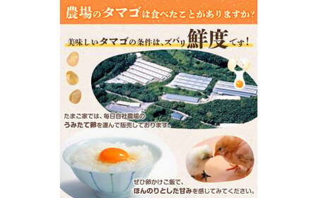 たまご家のハーブ卵（笑顔）45個 太良町産 卵 たまご 玉子 ハーブ玉子 タマゴ たまご家 NB6 たまご たまご たまご