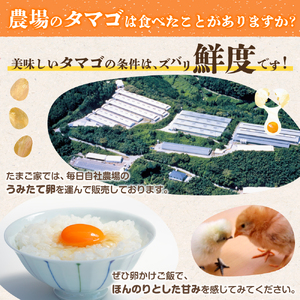 【3ヶ月定期便】たまご家のハーブ卵（笑顔）30個 たまご定期便 卵 たまご 玉子 たまご家定期便 ハーブ卵定期便 新鮮卵 定期便卵 たまご家の卵 エッグス 佐賀県 太良町 PF1
