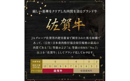 P40x1 佐賀牛 ステーキ 300g (150g×2枚)  国産牛 和牛 ブランド牛 牛肉 肉 高級 人気 おすすめ 佐賀県 太良町