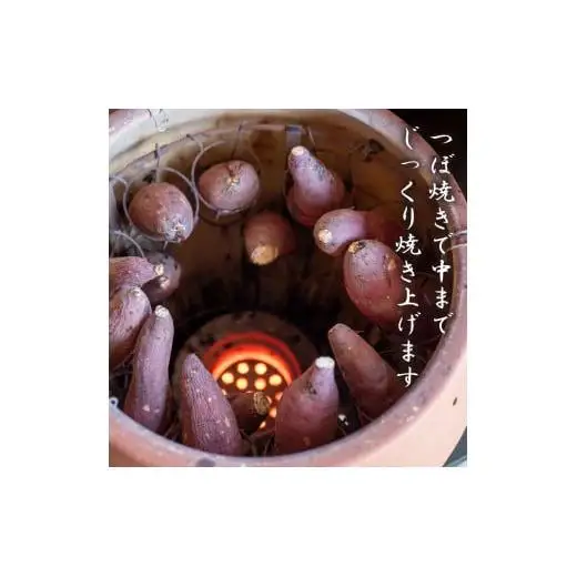 冷凍 焼き芋  選抜 紅はるか やきいも 500g 【田條園】