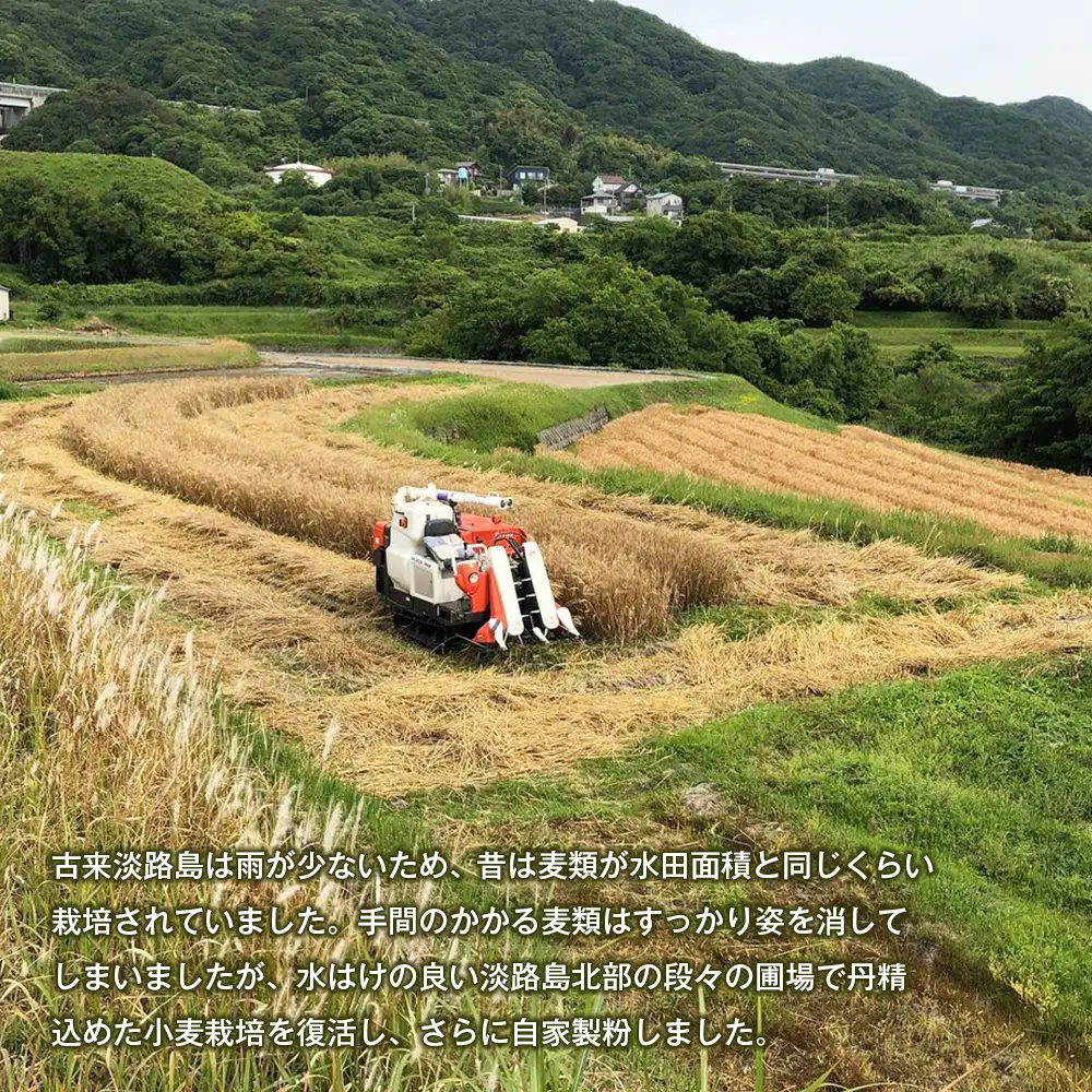 淡路市尾崎産　全粒粉小麦粉 詰合わせセット（やば恋(登録商標)小麦）