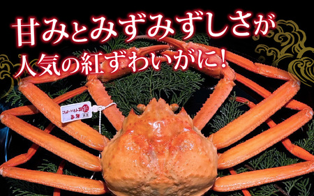 【先行予約】【蟹問屋 越前田村屋 究極の逸品】越前産 紅ずわいがに 1.0kg以上 1杯［C-029068］