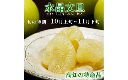 【先行予約】高知県産水晶文旦 特選ご贈答用 2Lサイズ 3個入り〈2026年10月上旬?11月上旬頃発送〉  /  ぶんたん ブンタン 水晶文旦 果物 柑橘 フルーツ お取り寄せ 特産品 おいしい【白木果樹園】 [BQAI017]