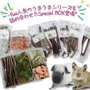 fuu 小動物のかじり木・おやつ　SpecialアソートBOX mini（2個）[145S13]