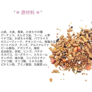 fuu うまうまセレクション ジャービルのごはん（820g）[145S37]