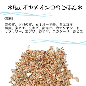fuu オカメインコのごはん（800g）[145S51]
