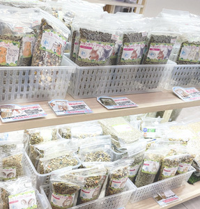 shop fuuで使えるクーポン券（50,000円）[145S81]