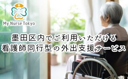 看護師同行 外出支援サービス 2時間コース 介護旅行 医療従事者 看護師 チケット 