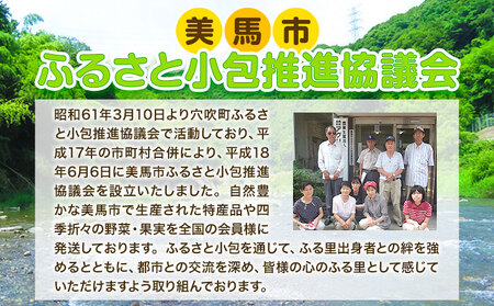 ふるさと小包詰め合わせ7月 約9種セット