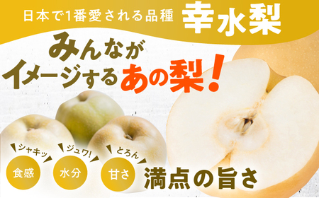 【★先行予約 2026年7月下旬より発送】梨（幸水）約5kg / 梨 幸水[AFAB060]