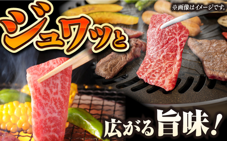 【3回定期便】【自家製ダレ付】 長崎和牛 モモ切り落とし 毎月200g （A4またはA5ランク） 長与町/炭火焼肉あおい[EBW036]  国産牛 国産モモ もも肉 モモ肉 きりおとし もも 焼肉用 焼肉 やきにく 牛肉 牛 肉 国産 冷凍 自家製 定期便 定期 ていきびん