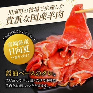 宮崎県産羊肉　寿ジンギスカン300g 【 肉 羊肉 国産 九州産 川南町産 ジンギスカン 羊 ひつじ 味付き 】