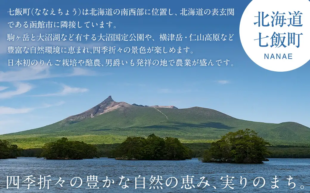 【令和8年発送先行予約】北海道七飯町産とうもろこし「ゴールドラッシュ」18本セット NAZ012