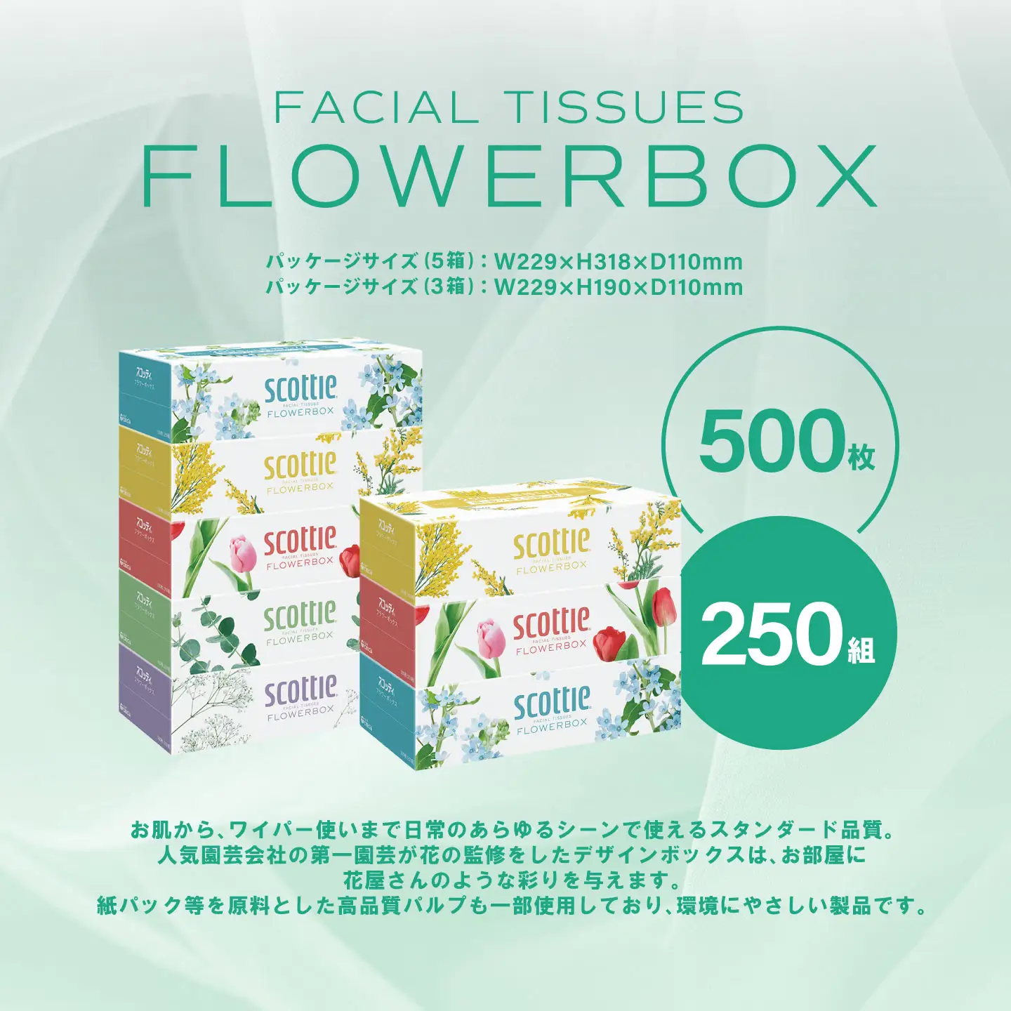 スコッティ ティッシュ 250組 60箱 ティシュー