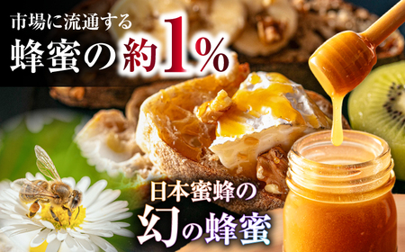 【1週間以内発送】日本蜜蜂 はちみつ 100g×2 [ARBN001] 国産 はちみつ
