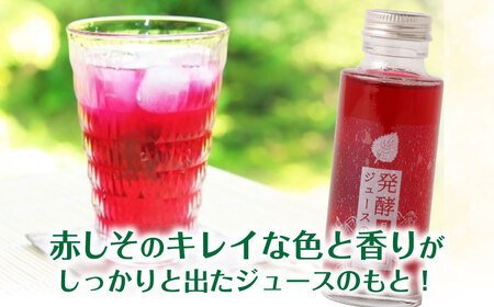 【お中元対象】発酵ジュースのもと〈日田赤しそ〉 110ml×5本 ジュース 紫蘇 しそ 紫蘇ジュース 果実飲料 [ARDA003]
