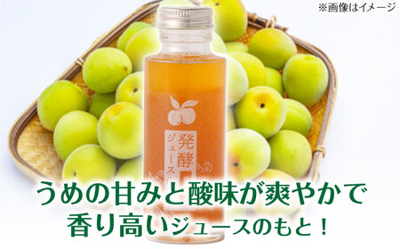 【お中元対象】発酵ジュースのもと〈日田うめ〉 110ml×5本 ジュース うめ ウメ 梅 果実飲料 [ARDA004]