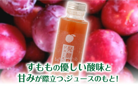 【お中元対象】発酵ジュースのもと〈日田すもも〉 110ml×5本 ジュース すもも 果実飲料 [ARDA005]