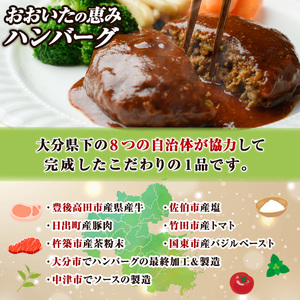 おおいたの恵みハンバーグ(計1.6kg・160g×10個)牛肉 豚肉 肉 デミグラスソース おかず 小分け 個包装 温めるだけ 【opng002】【全国農業協同組合連合会 大分県本部】