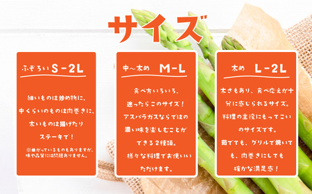 アスパラガス 1kg S～2Lサイズ ( ふぞろい ) 朝採り アスパラガス 夏芽【先行受付】【26年6月中旬～9月発送】