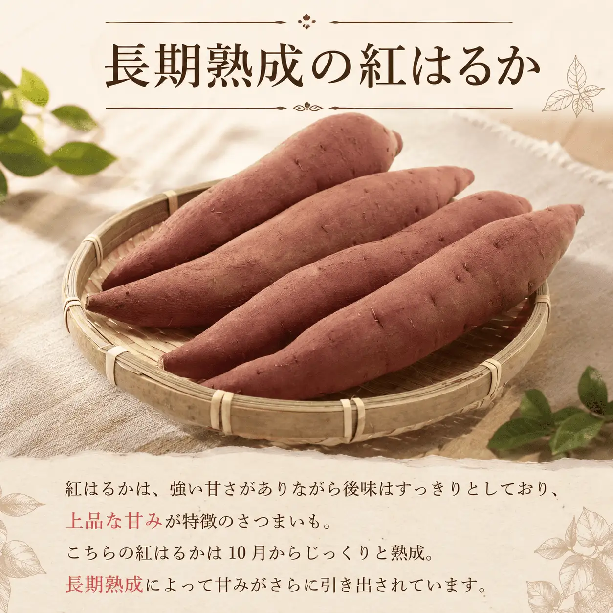 さつまいも 紅はるか 約5kg さつまいも