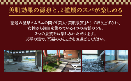 わくや天平の湯日帰り温泉入館回数券（11回分）◇【machikan007】