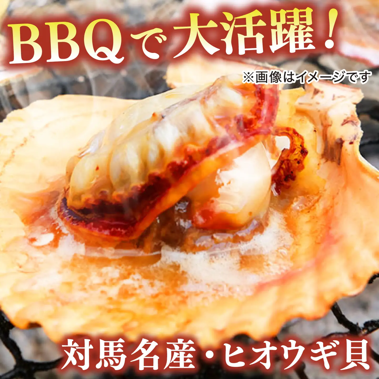 対馬産ひおうぎ貝 6パック（4枚入り） 貝  BBQ 小分け [WAC061]