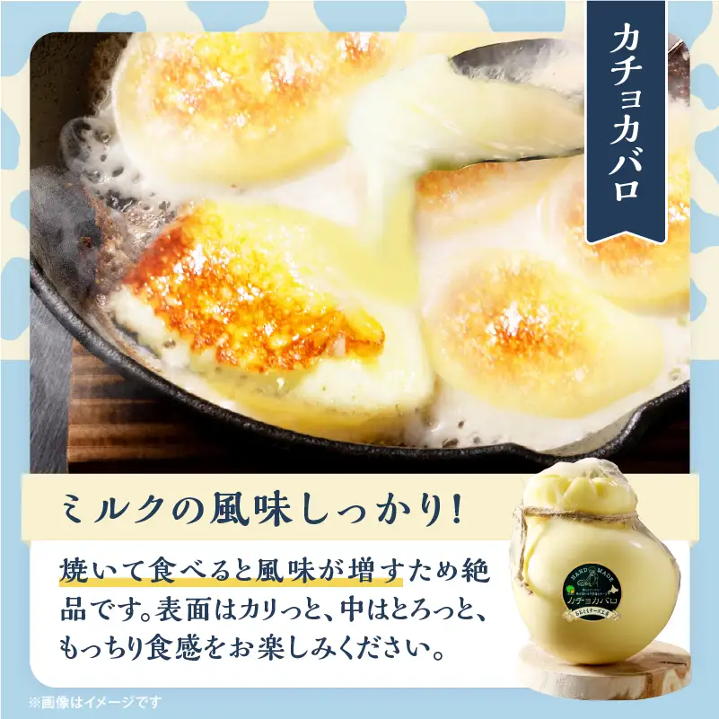 【おおともチーズ工房】《なまらでかい!!》ミルキーな風味の巨大カチョカバロ(計550g)_H0003-119