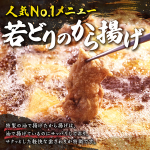 鳥せい本店の若どりから揚げ 満足5人前 【鳥せい本店 若どり から揚げ 5人前 おつまみ 晩ごはん お手軽 鶏肉 手羽 むね肉 もも肉 詰め合わせ 真空パック 冷蔵 職人技 こだわり お取り寄せ 北海道 清水町】S004-0007