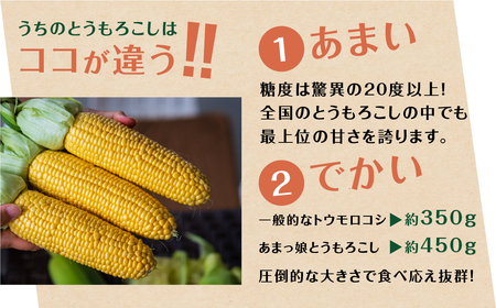 あまっ娘 とうもろこし（10本～12本　4.0kg以上） とうもろこし