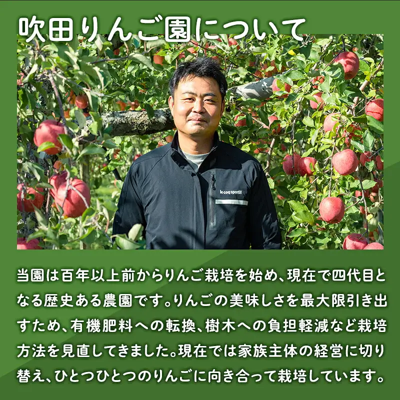 【レビューキャンペーン】≪1~3月発送≫山の完熟サンふじ約3kg  【青森県 平川市 吹田りんご園】サンふじ ふじ りんご リンゴ アップル 果物 くだもの フルーツ 平川市産 完熟りんご [hi-0010-009]